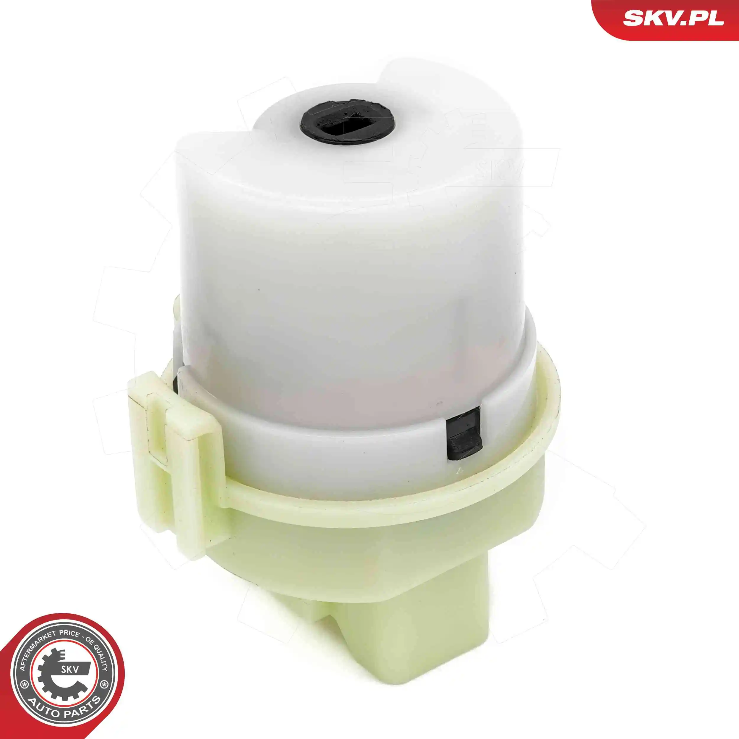 Ignition Switch 65SKV028