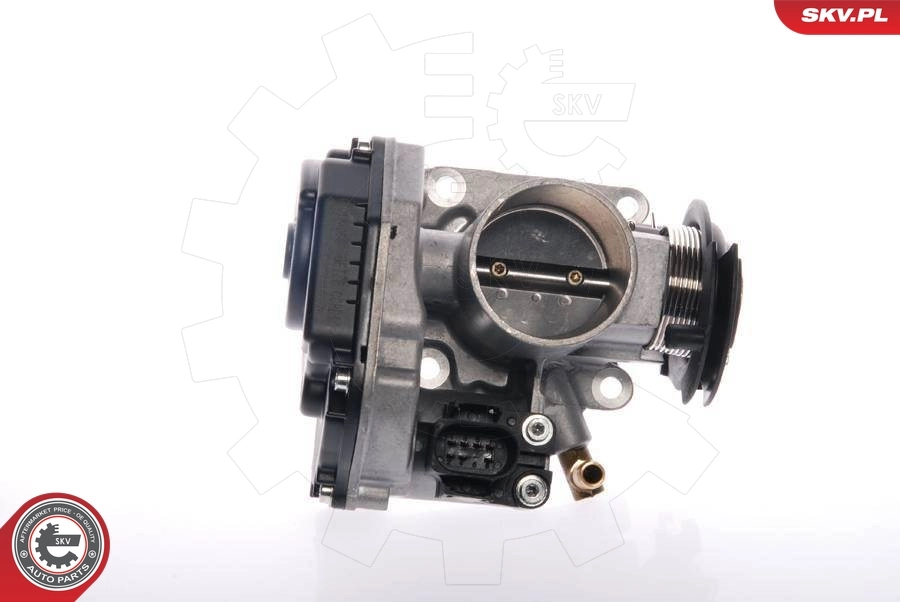 Throttle Body 12SKV015