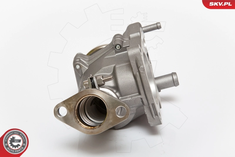 EGR Valve 14SKV063