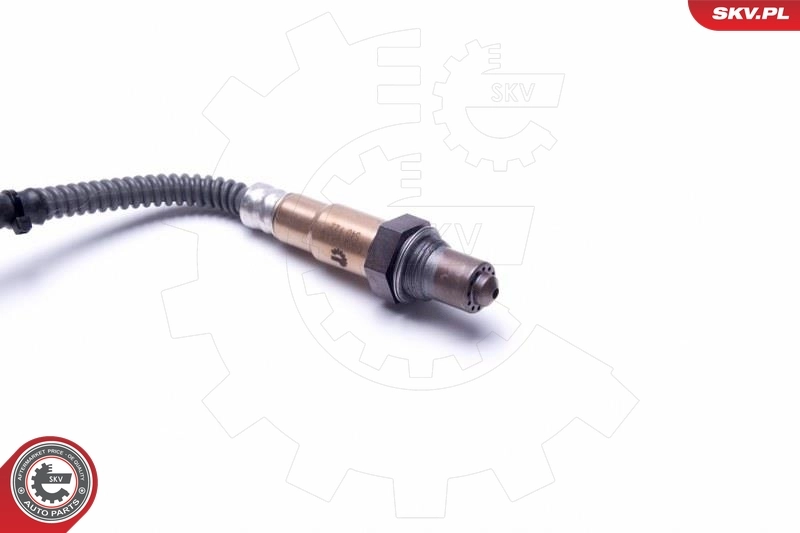 Oxygen Sensor 09SKV419
