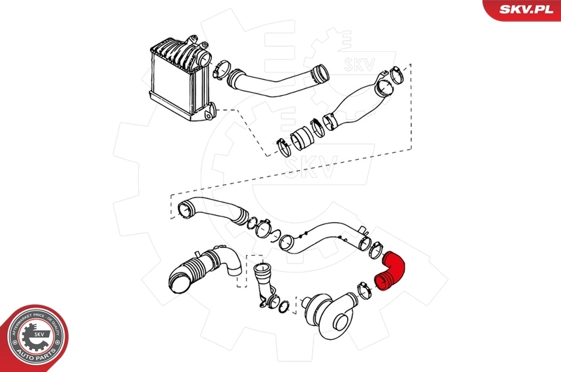 Charge Air Hose 24SKV160