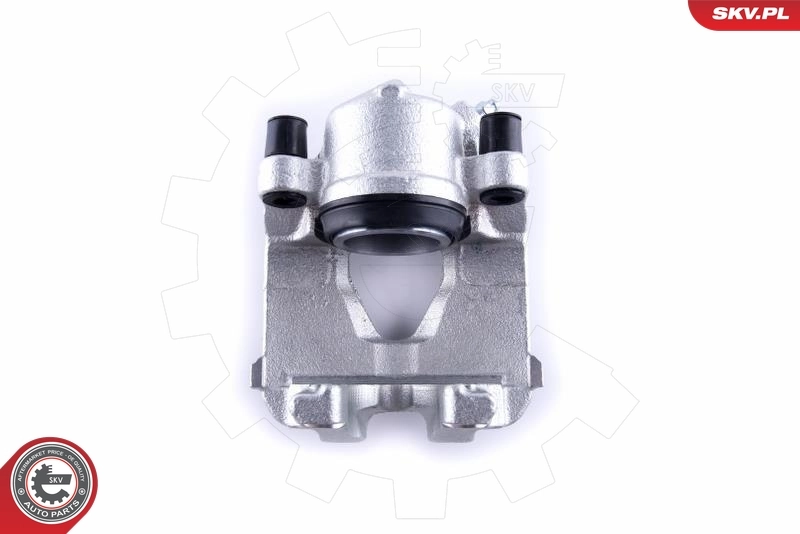 Brake Caliper 55SKV251