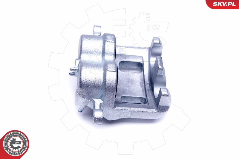 Brake Caliper 50SKV381