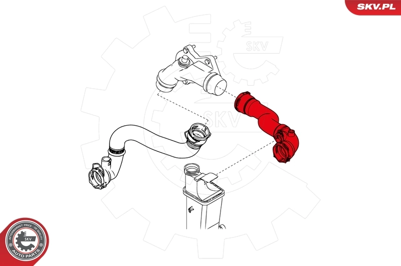 Radiator Hose 24SKV267