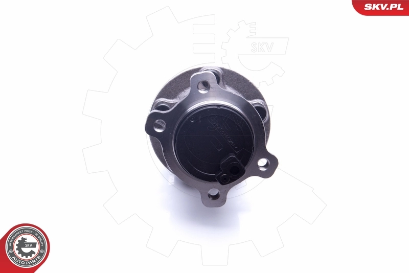 Wheel Bearing Kit 29SKV268