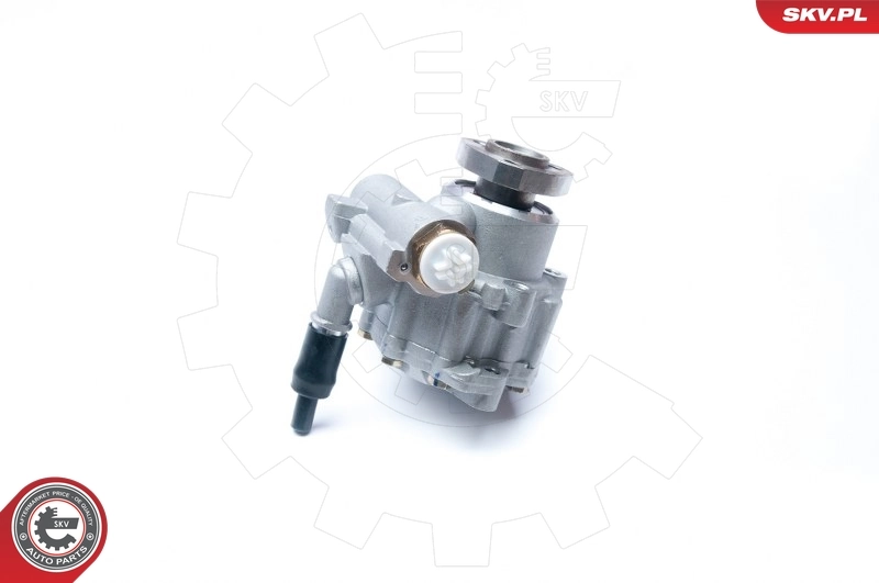 Hydraulic Pump, steering 10SKV230