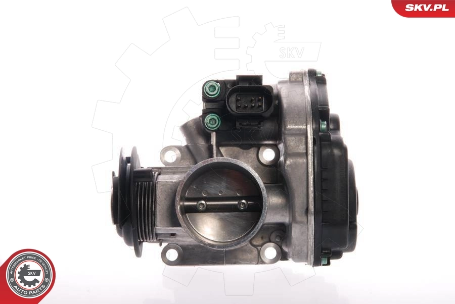 Throttle Body 12SKV024