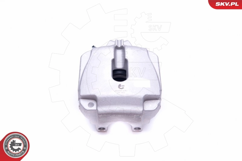 Brake Caliper 44SKV191