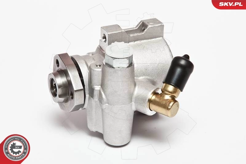 Hydraulic Pump, steering 10SKV047