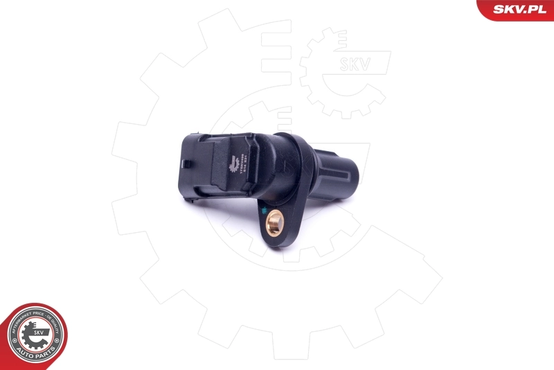 Sensor, camshaft position 17SKV499