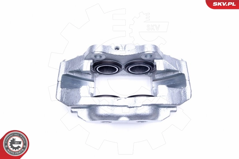 Brake Caliper 45SKV231