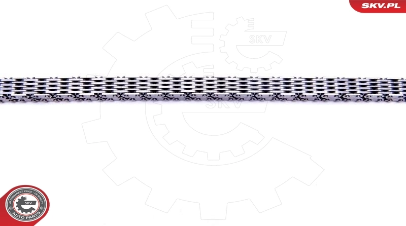 Timing Chain Kit 21SKV155
