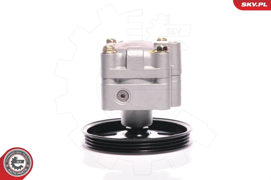 Hydraulic Pump, steering 10SKV127