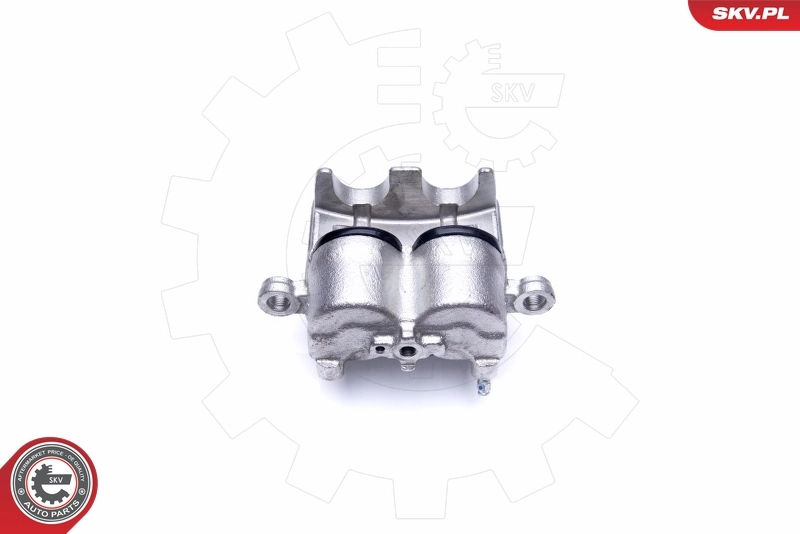 Brake Caliper 44SKV801