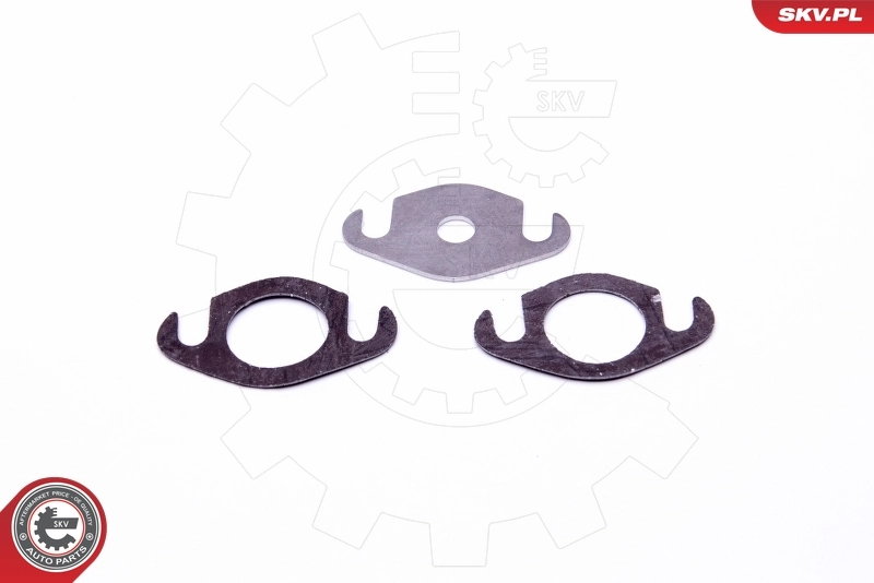 ESEN SKV 14SKV501 Repair Set, EGR valve