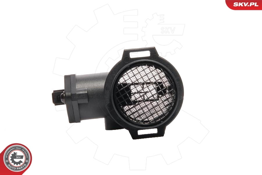 Mass Air Flow Sensor 07SKV005