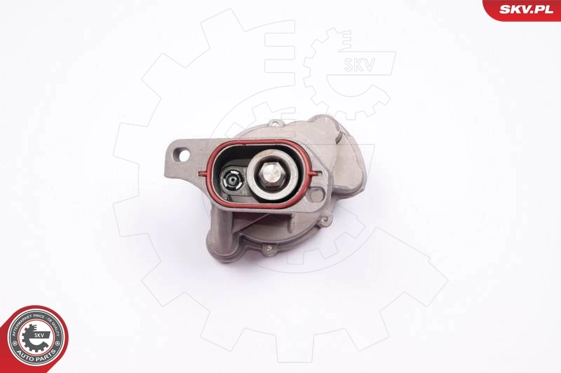 Vacuum Pump, braking system 18SKV013