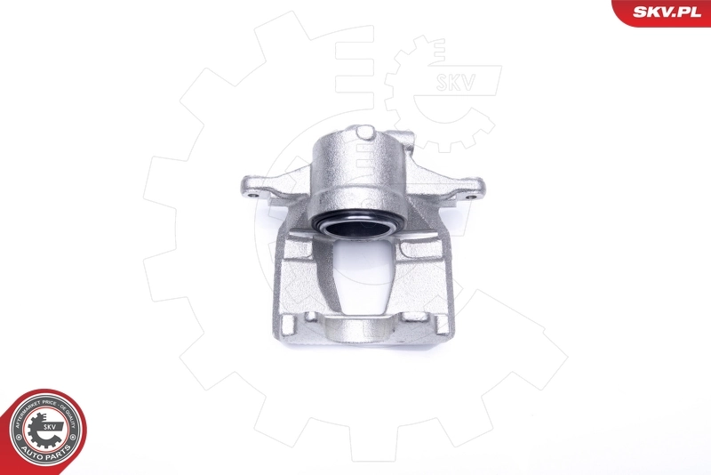 Brake Caliper 44SKV822