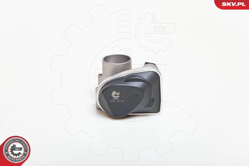 Throttle Body 12SKV029