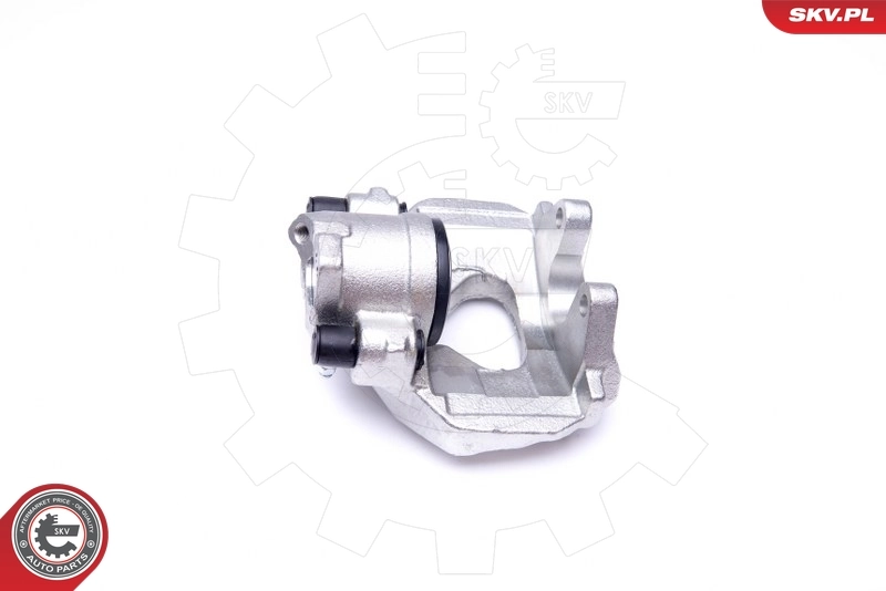 Brake Caliper 42SKV271