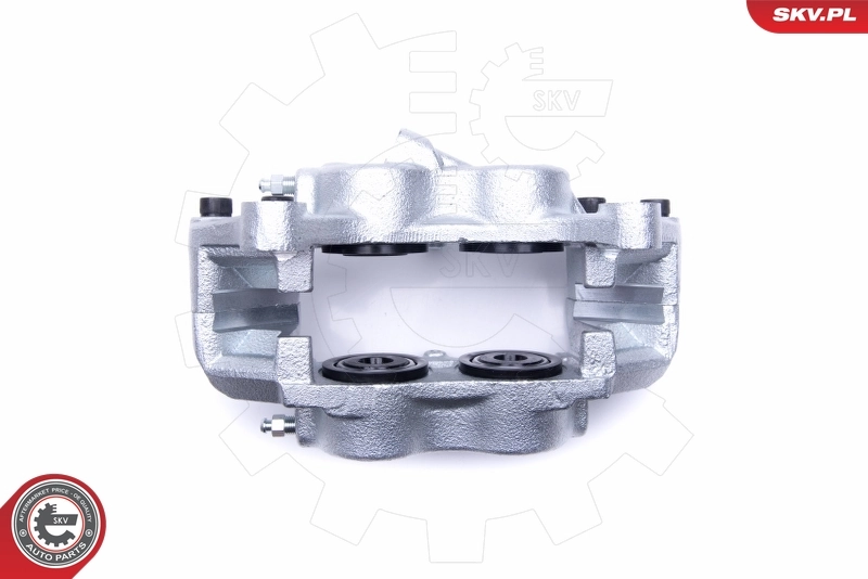 Brake Caliper 46SKV072