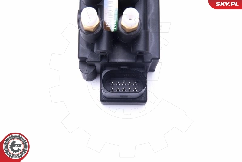 ESEN SKV 93SKV812 Valve, compressed-air system