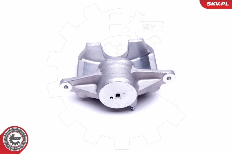 ESEN SKV 50SKV391 Brake Caliper