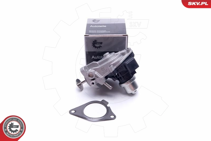 EGR Valve 14SKV233