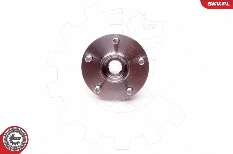 ESEN SKV 29SKV037 Wheel Bearing Kit