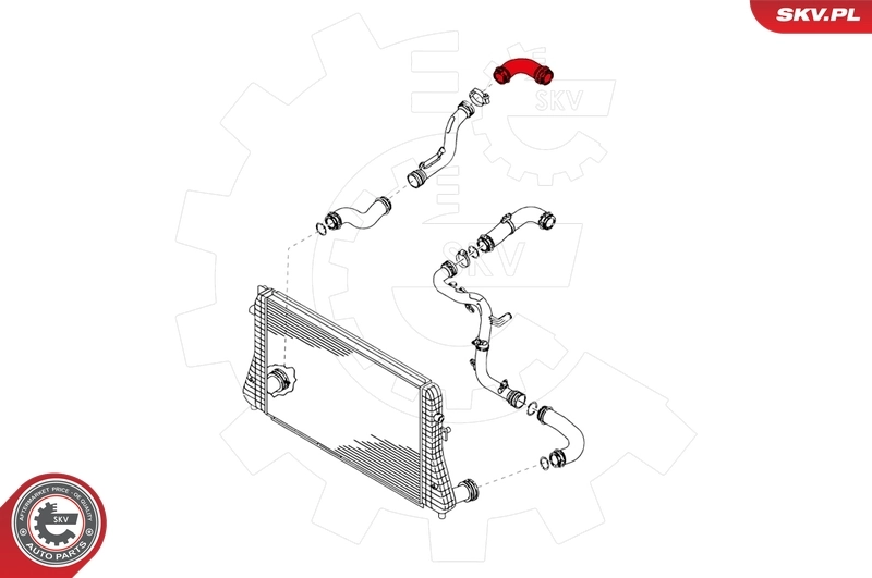 Charge Air Hose 24SKV006