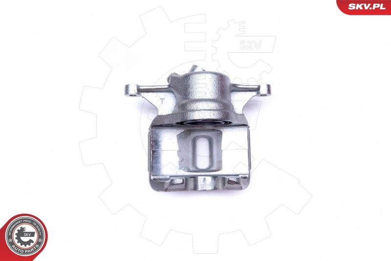 Brake Caliper 42SKV701