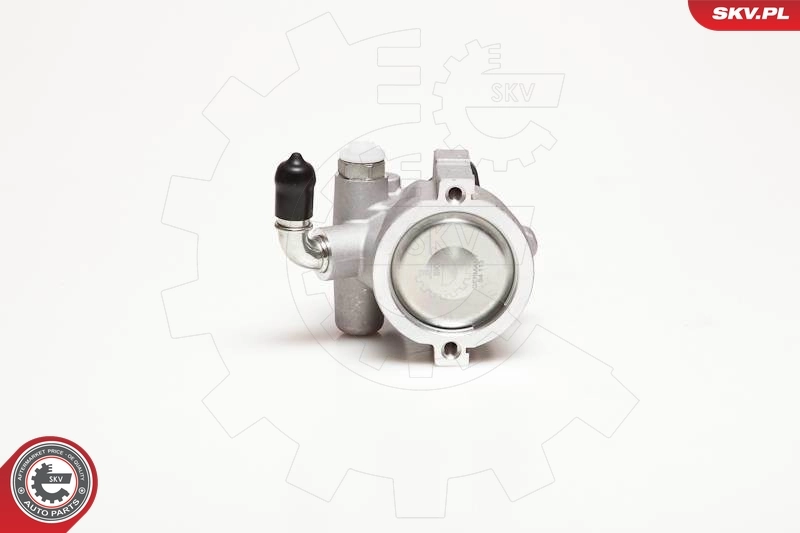 Hydraulic Pump, steering 10SKV003