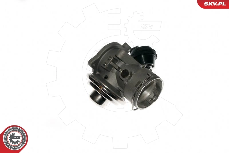 EGR Valve 14SKV090