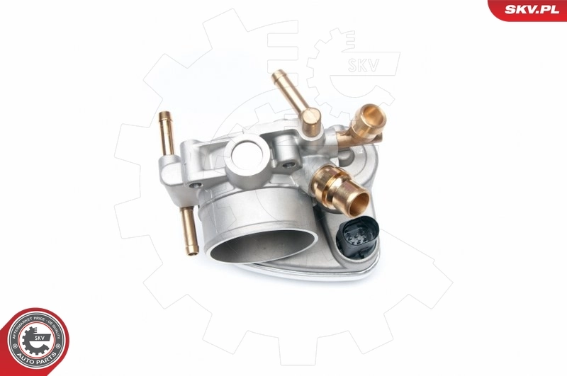 Throttle Body 12SKV049