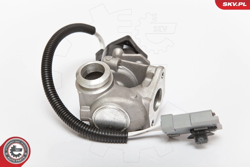 EGR Valve 14SKV071
