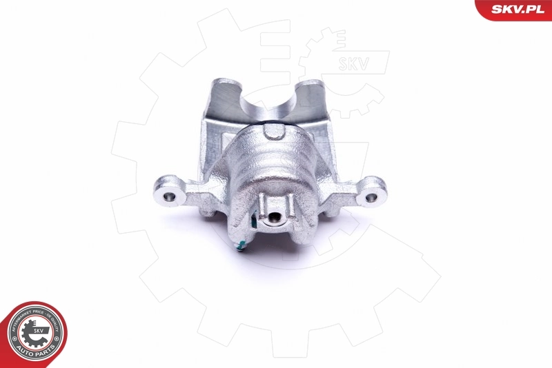 Brake Caliper 45SKV673