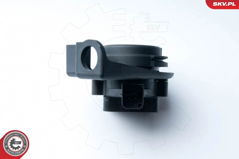 Sensor, throttle position 17SKV015