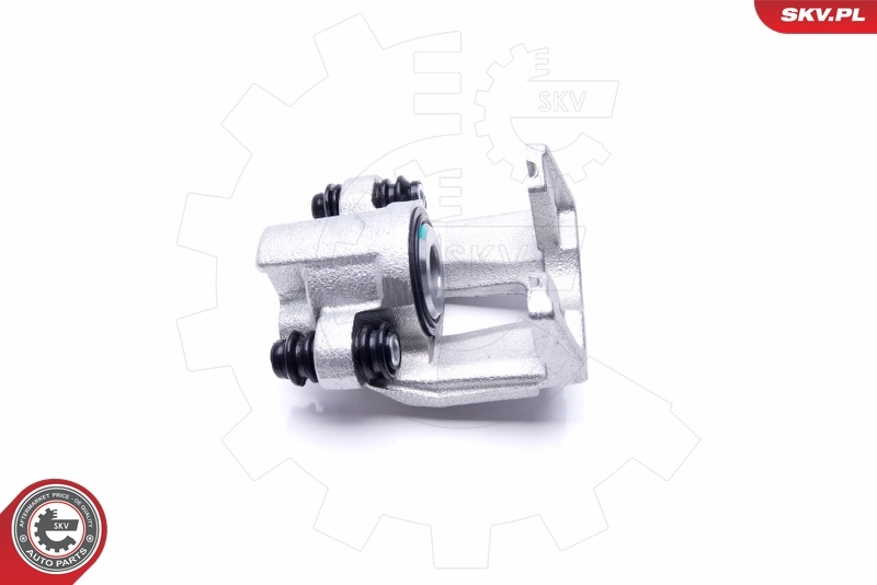 Brake Caliper 45SKV843