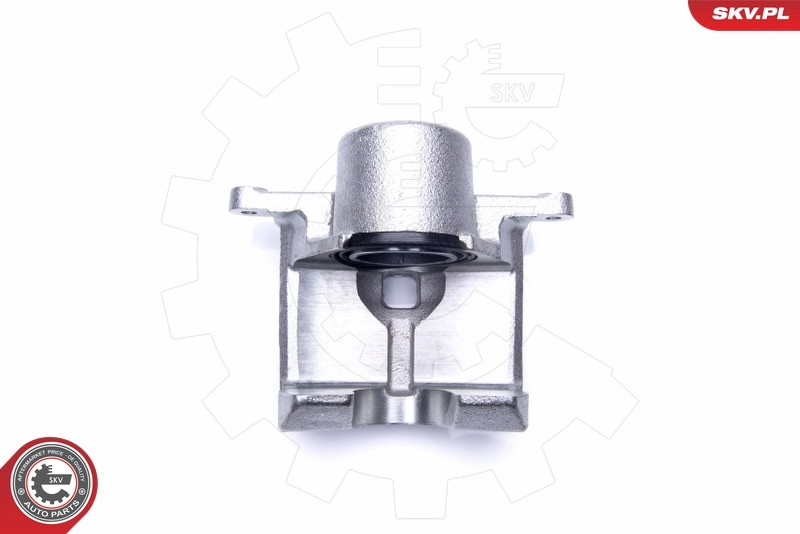 Brake Caliper 44SKV861