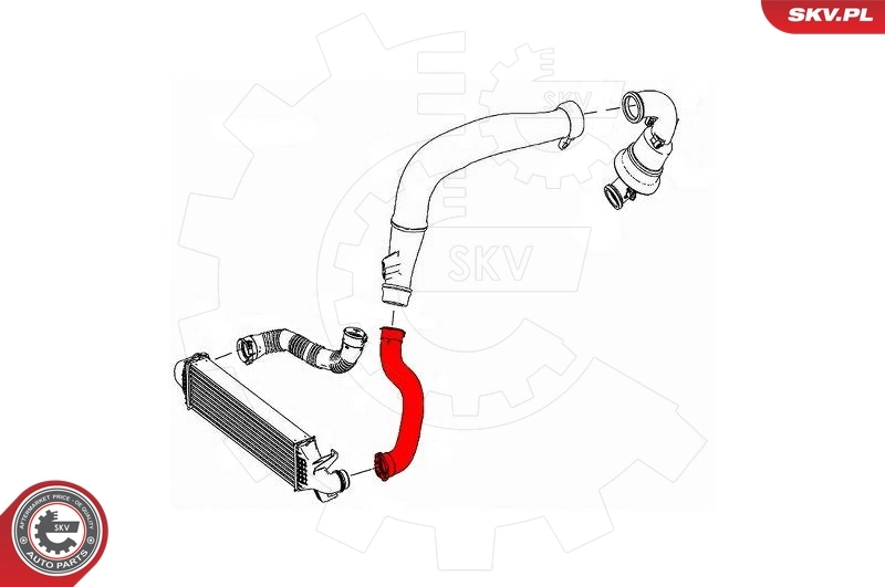 Charge Air Hose 43SKV238