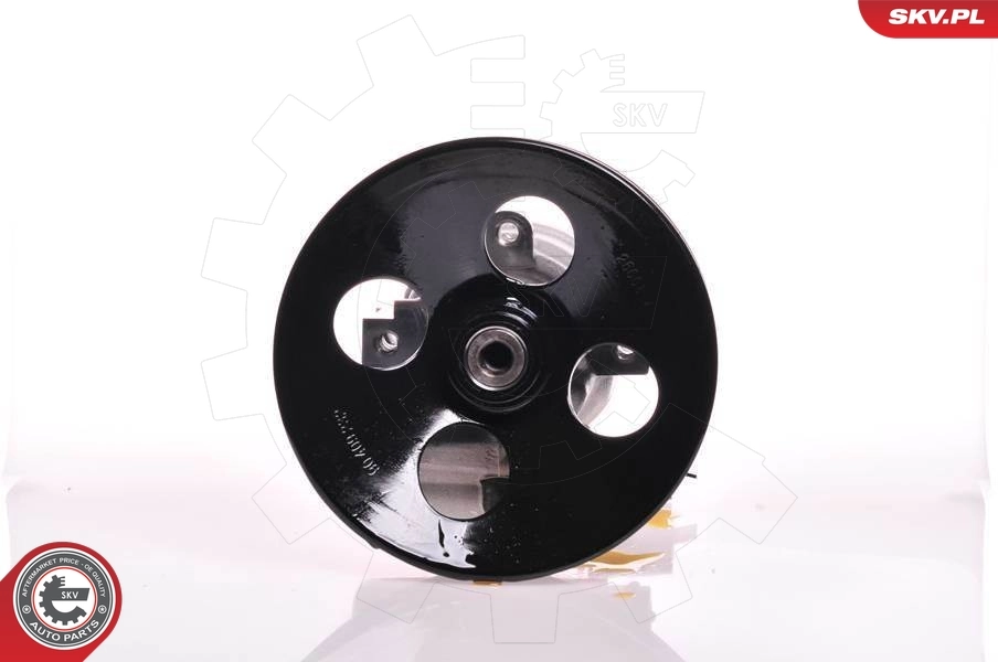 Hydraulic Pump, steering 10SKV164