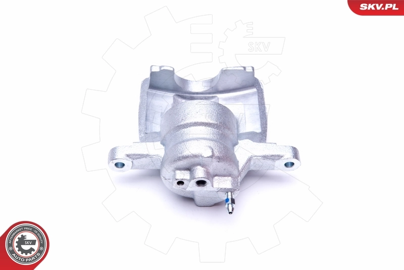 Brake Caliper 44SKV001