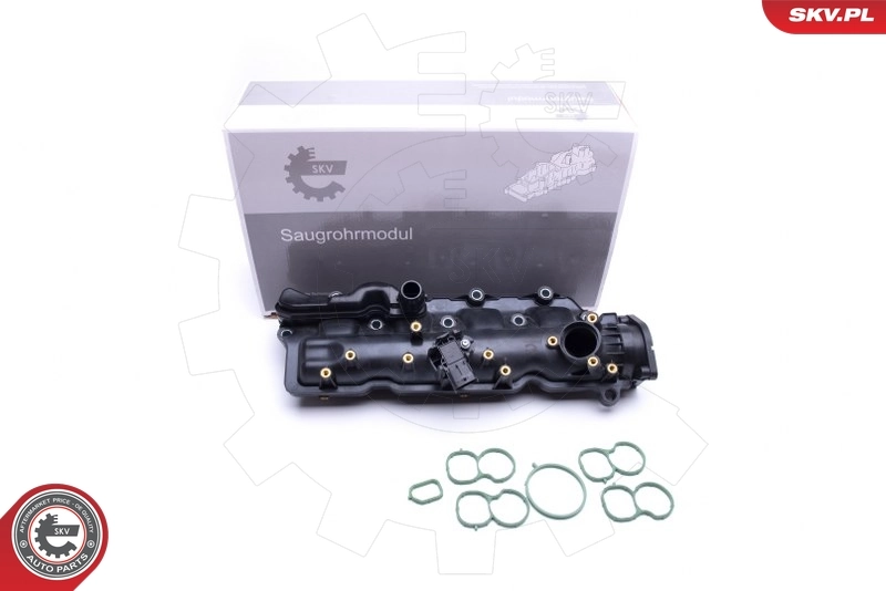 Intake Manifold Module 49SKV024