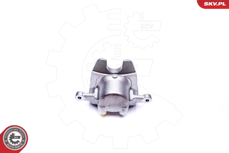 Brake Caliper 42SKV431