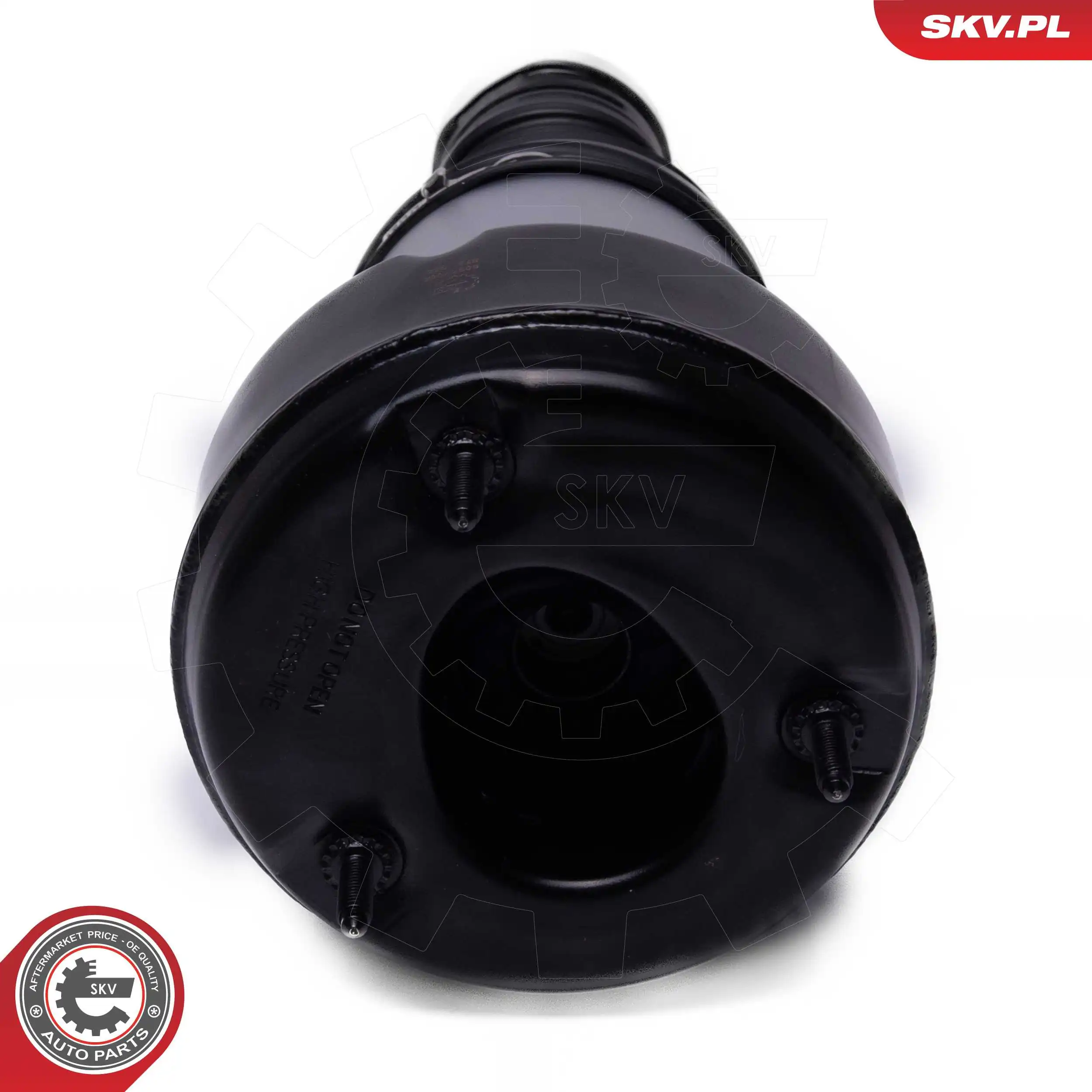 Air Suspension Strut 58SKV083