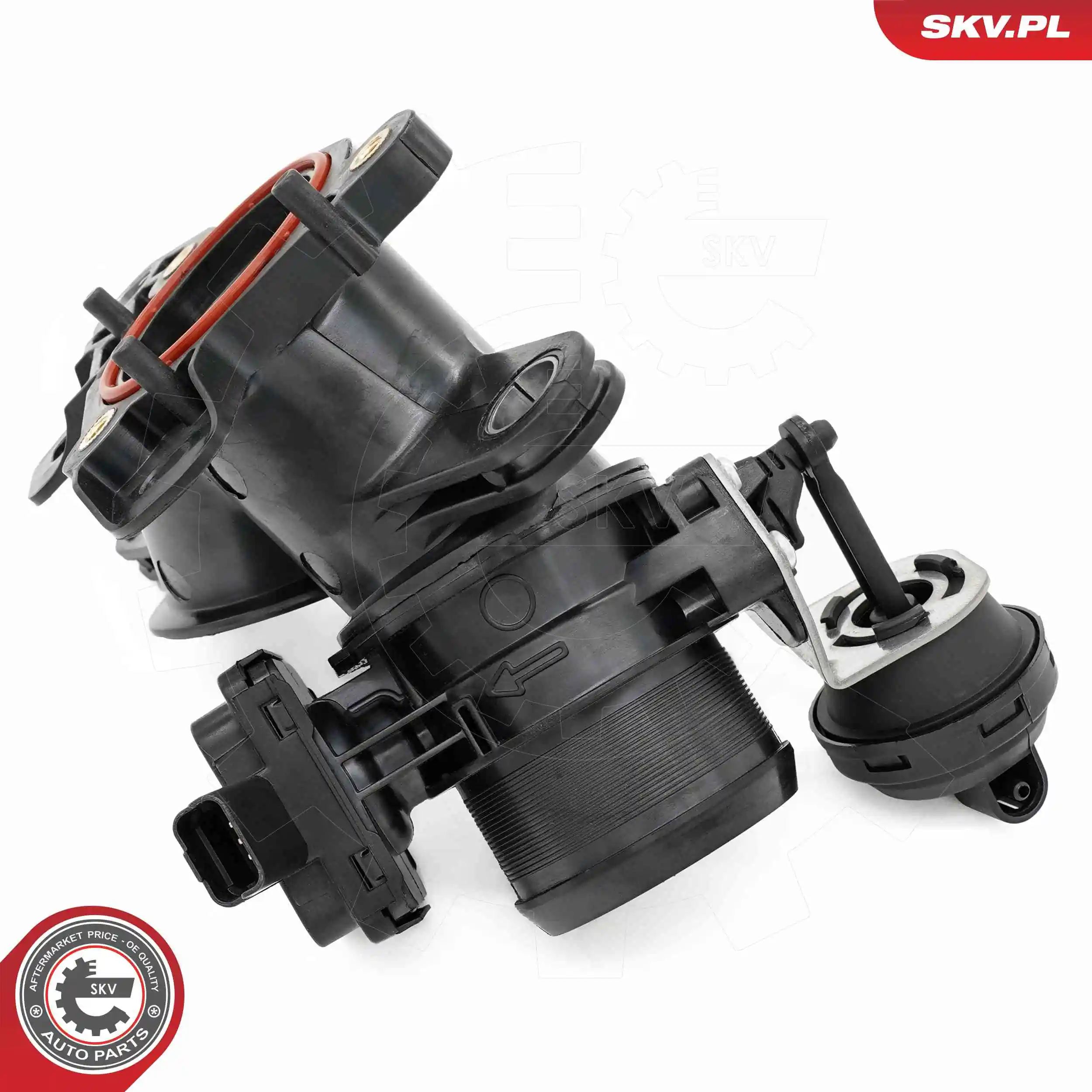 ESEN SKV 12SKV149 Throttle Body