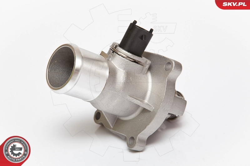 Thermostat, coolant 20SKV008