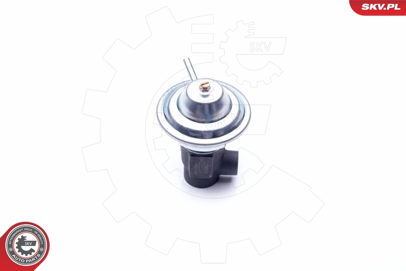 ESEN SKV 14SKV187 EGR Valve