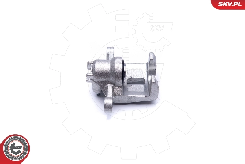 Brake Caliper 42SKV563