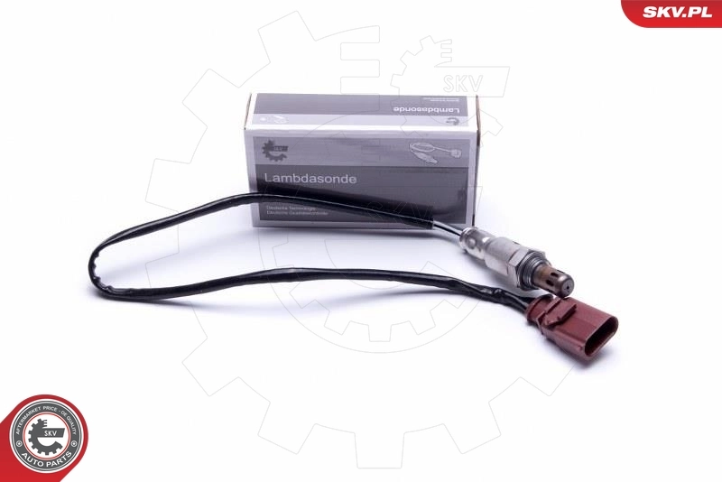 Oxygen Sensor 09SKV117